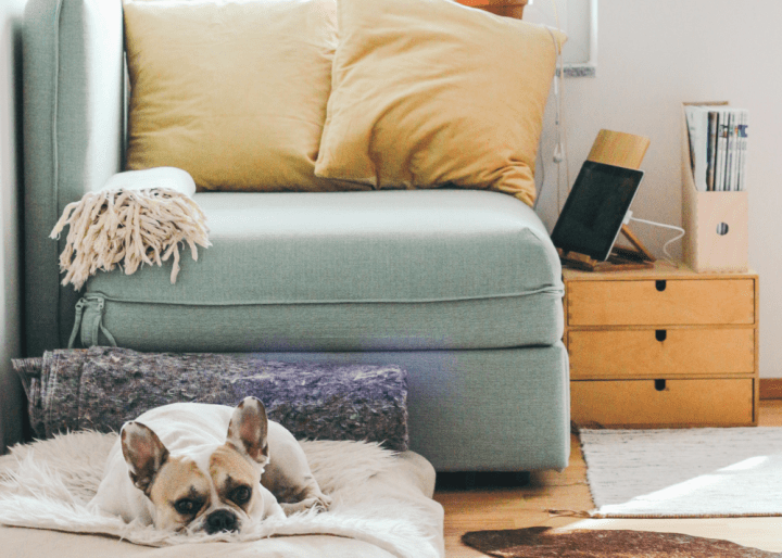 3, 2, 1…&nbsp;Hallo!